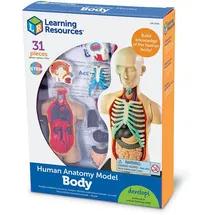 Learning Resources Mensch Körper Modell Biologie Anatomie Set