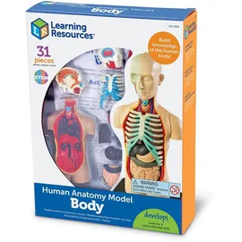 Learning Resources Mensch Körper Modell Biologie Anatomie Set
