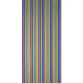 CONACORD Brillant Türvorhang 90 x 200 cm Bunt