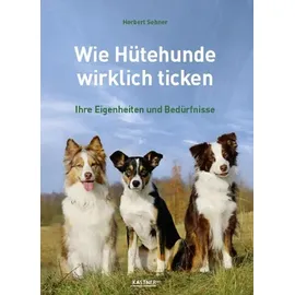 Kastner Wie Hütehunde wirklich ticken: