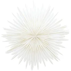 Ebuy24 Sälen Weihnachtsstern mit Licht Papier Ø100 cm Pendelleuchte weiß.