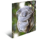 Herma Sammelmappe Tiere A4 koala