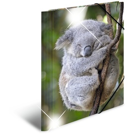 Herma Sammelmappe Tiere A4 koala