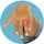 disney ily 4ever Disney Bambi ily 4Ever 28 cm