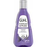 Guhl Silberglanz & Pflege Shampoo 250 ml