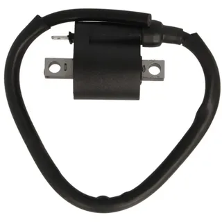 Bobine RMS  24 601 0040