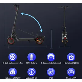 RCB 10 ZOLL E-Scooter, mit Straßenzulassung ABE Elektroscooter Max Range 35km E-roller mit APP max Speed 20km/h 36V10.4AH - Grau