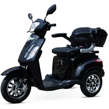 Efun ECO ENGEL 500 Elektromobil 25 km/h schwarz