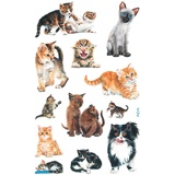 Zweckform Avery 53574 Kinder Sticker Katzen 36 Aufkleber