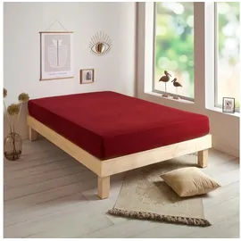 Traumschlaf Spannbettlaken Jersey-Baumwolle 70 x 140 cm rot