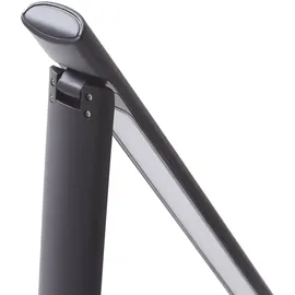 LINDBY Cerula Schwarz