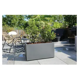 Riviera 80 x 40 x 0 cm Grau