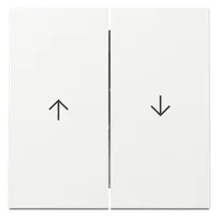 Gira Wippe 2f Pfeil System 55 Reinweiß 1 Stück