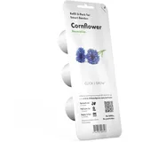 Click & Grow Kornblume Smart Garden Refill Kapseln 3er Pack