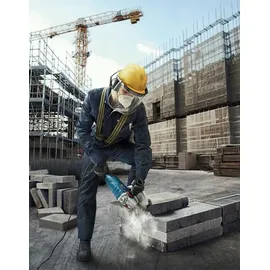 Bosch GWS 24-230 P Professional