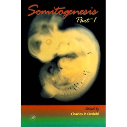 Somitogenesis Part 1 als eBook Download von