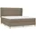 vidaXL Boxspringbett mit Matratze Taupe 180x200 cm Stoff