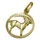 GALLAY Sternzeichen Steinbock Gold 15mm