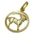 GALLAY Sternzeichen Steinbock Gold 15mm