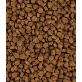 Dehner Premium Katzenfutter Trockenfutter getreidefrei Forelle 2 kg