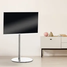 CLP TV-Ständer I Universelle Fernseher-Halterung