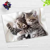 Cover-your-desk Schreibtischunterlage für Kinder schmusende Kätzchen, aus hochwertigem Vinyl