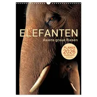 Calvendo ELEFANTEN - Asiens graue Riesen (Wandkalender 2026 DIN