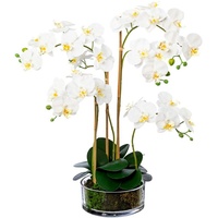 Kunstorchidee Phalaenopsis im Glas Orchidee Phalaenopsis, Creativ green, Höhe 50 cm weiß
