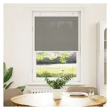 vidaXL Plissee Anthrazit 75x100 cm Stoffbreite 74,4 cm Polyester