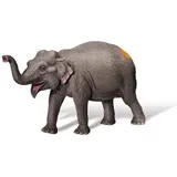 RAVENSBURGER 000409 tiptoi® Asiatischer Elefant