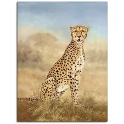 Artland Wandbild »Gepard Savanne«, Wildtiere, (1 St.), als Alubild, Outdoorbild, Leinwandbild in verschied. Größen Artland Farbe Bild(er): naturfarben