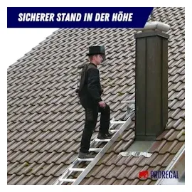 Proregal Dachleiter 7 Sprossen