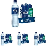 VILSA Mineralwasser Classic, 6 x 1,00 l PET (Packung mit 4)