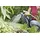 Kärcher Gartenspritze mit Anschluss-Set (2.645-290.0)