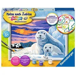 Ravensburger Malen-nach-Zahlen Niedliche Robben mehrfarbig