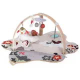 BabyGO Spielbogen Krabbeldecke Bianca Activity Center 3D-Activity-Spielmatte, Entspricht den Normen EN 71-1, EN 71-2, EN 71-3. bunt