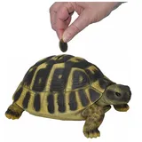 dazikemo Spardose Sparschwein große Schildkröte