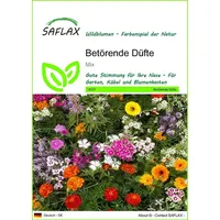 SAFLAX - Duftmischung - 1000 Samen - 18 Wildblumenmischung