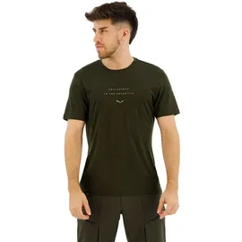 Salewa Eagle Eitd Merino T-Shirt Dark Olive S