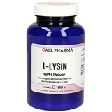 Hecht Pharma L-Lysin Pulver 100 g