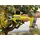 RYOBI RY18SCA-0 18 V ONE+ Akku-Gartenschere (Bare Tool)