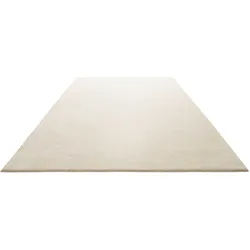 Teppich HOMIE LIVING "Venice HL-0135", beige, B:200cm H:17mm L:290cm, Polypropylen (PP), Teppiche