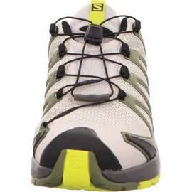 Salomon X Ultra 4 Gore-Tex Herren Quiet Shade / Black / Evening Primrose 44