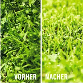 Compo Rasenunkraut-Vernichter Perfekt Konzentrat 200 ml