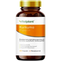 Vitalplant® Kurkuma Extrakt im Braunglaß - 440mg hochdosiertes Curcuma Extrakt 95% mit Piperin - 120 Kapseln vegan