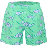Chiemsee Badehose Grün 158/164
