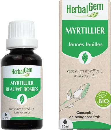Herbalgem Heidelbeere Konzentriertes Muttermazerat Bio 30ml
