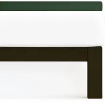Traumschlaf Spannbettlaken Frottee 120 x 200 - 130 x 200 cm grün