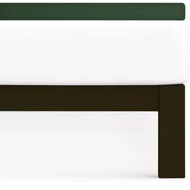 Traumschlaf Spannbettlaken Frottee 120 x 200 - 130 x 200 cm grün