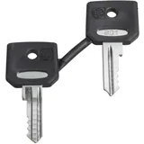 Schneider Electric ZBG3131A Ersatzschlüssel